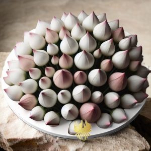 Pink and White Lotus Flower buds flower decor