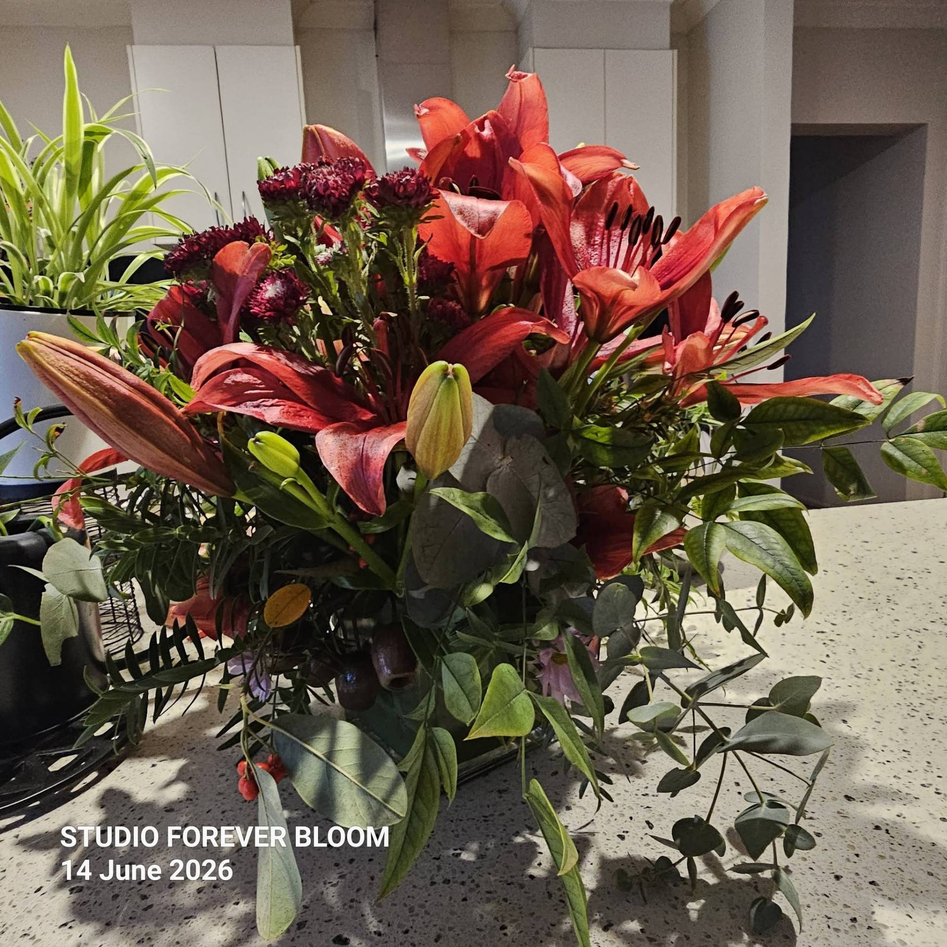 A luxury winter-themed floral display named WINTER LILIES Red Hybrid Arrangement V1 featuring large red lilies, dark burgundy blooms, and eucalyptus by Studio Forever Bloom.